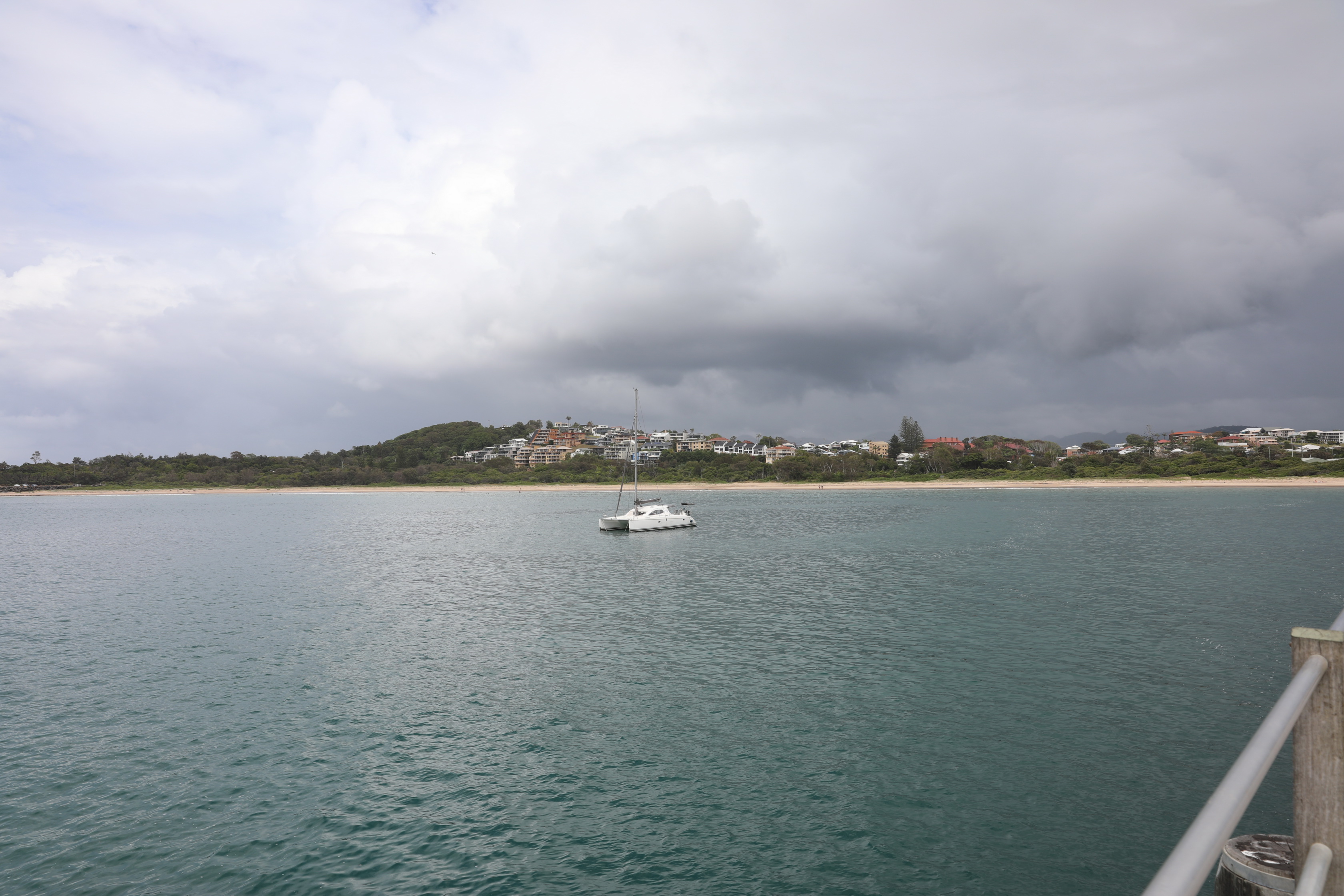 2020 01 15 10 48 57 Canon EOS 5D Mark IV 0005